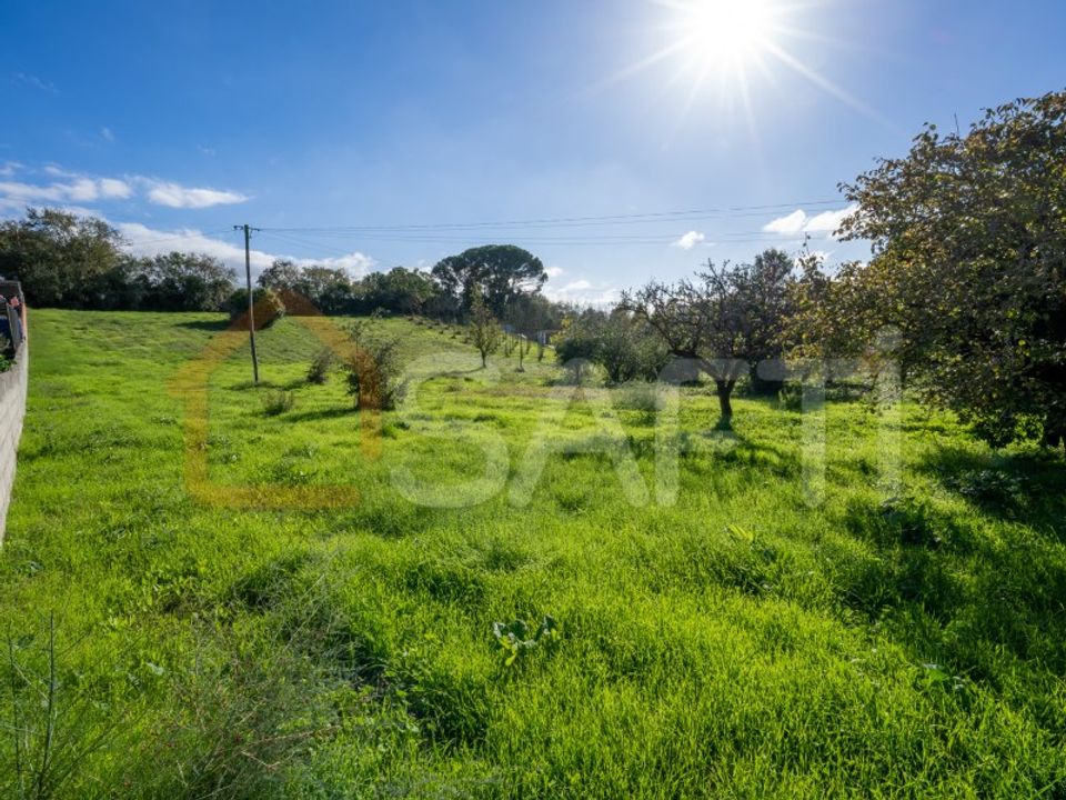 Landejendom i Leiria, Leiria - foto 1