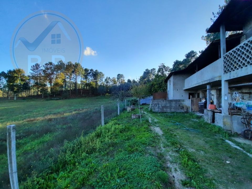 Gård i Cabeceiras de Basto, Braga - bilde 2