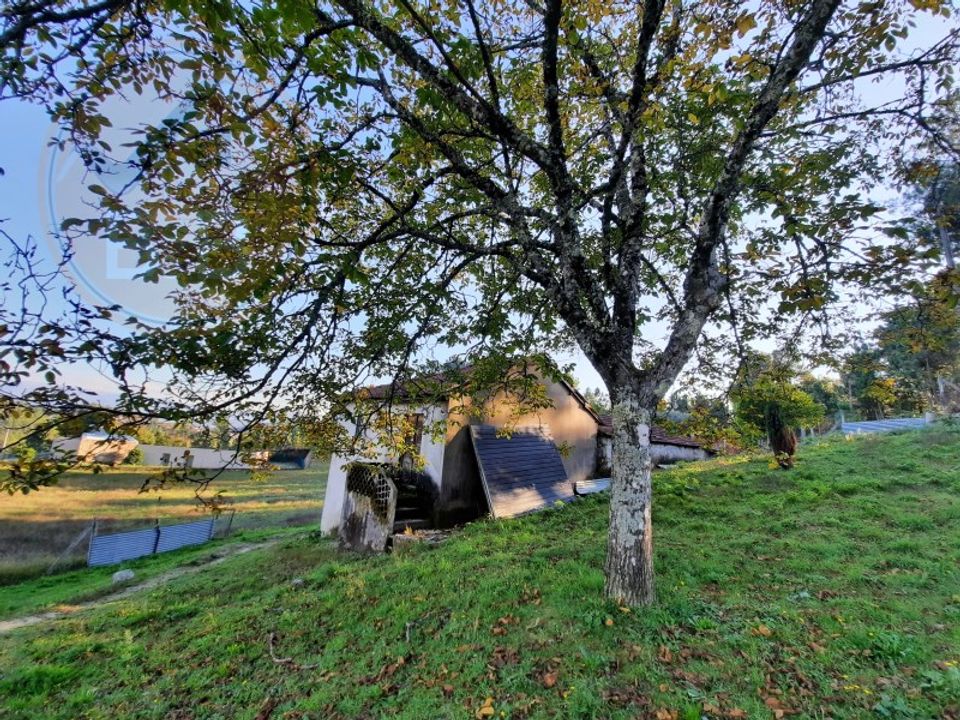 Gård i Cabeceiras de Basto, Braga - bilde 4