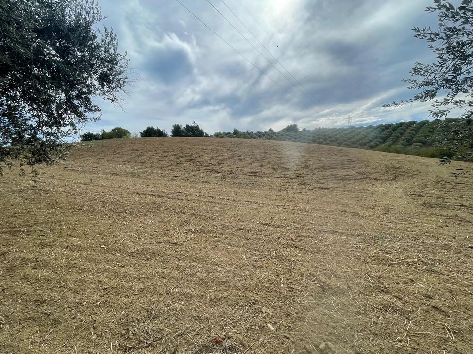Terra a Moscufo, Pescara - foto 3