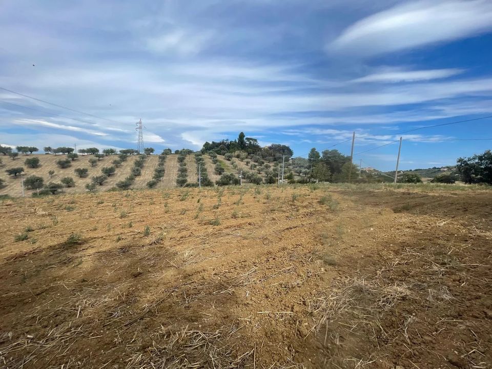 Terra a Moscufo, Pescara - foto 5