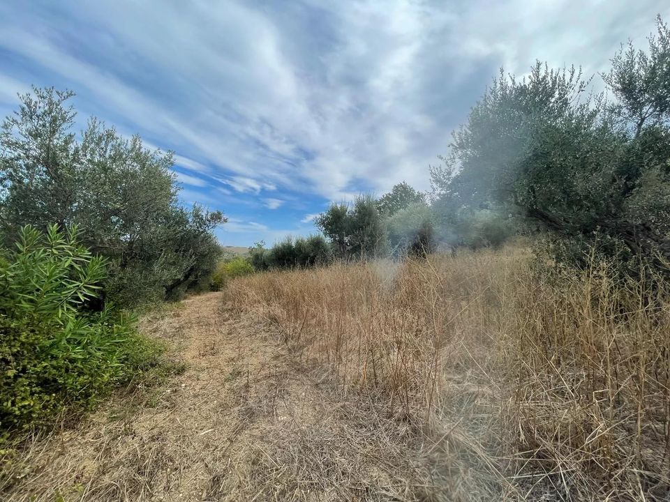 Terra a Moscufo, Pescara - foto 2