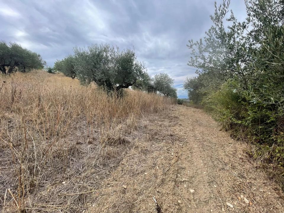 Terra a Moscufo, Pescara - foto 3