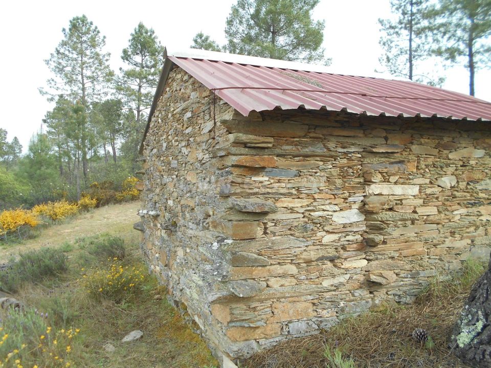 Landejendom i Castelo Branco, Castelo Branco - foto 3