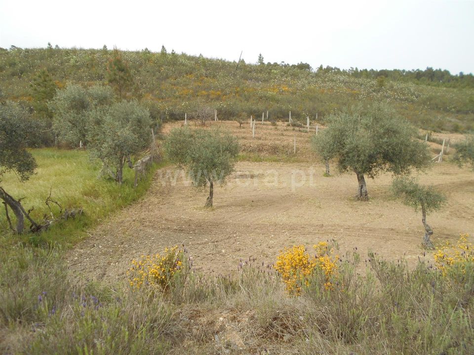 Landejendom i Castelo Branco, Castelo Branco - foto 4