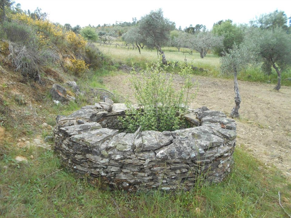 Landejendom i Castelo Branco, Castelo Branco - foto 5