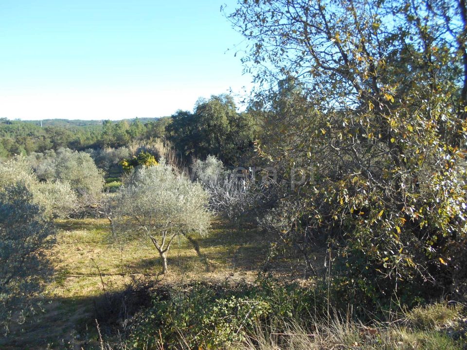 Helårsgrund i Castelo Branco, Castelo Branco - foto 2