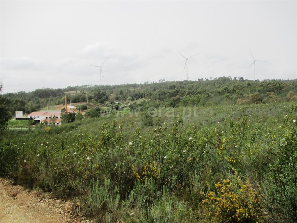 Helårsgrund i Castelo Branco, Castelo Branco - foto 4