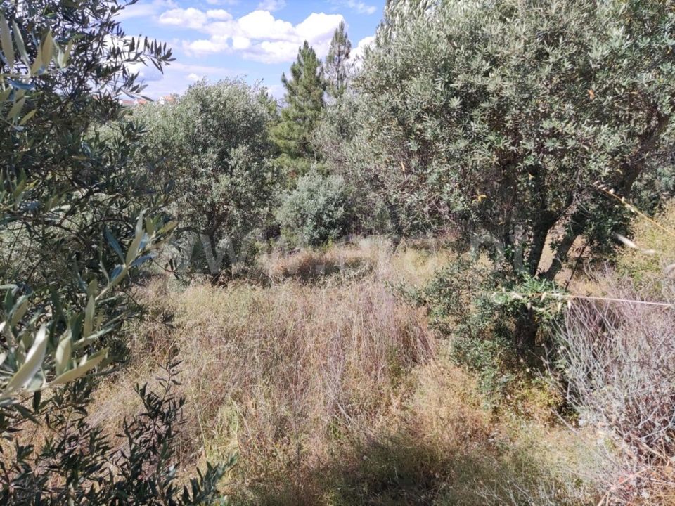 Landejendom i Castelo Branco, Castelo Branco - foto 4
