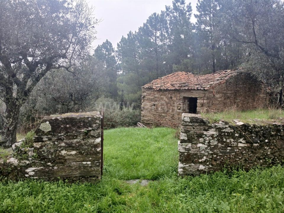 Landejendom i Castelo Branco, Castelo Branco - foto 1