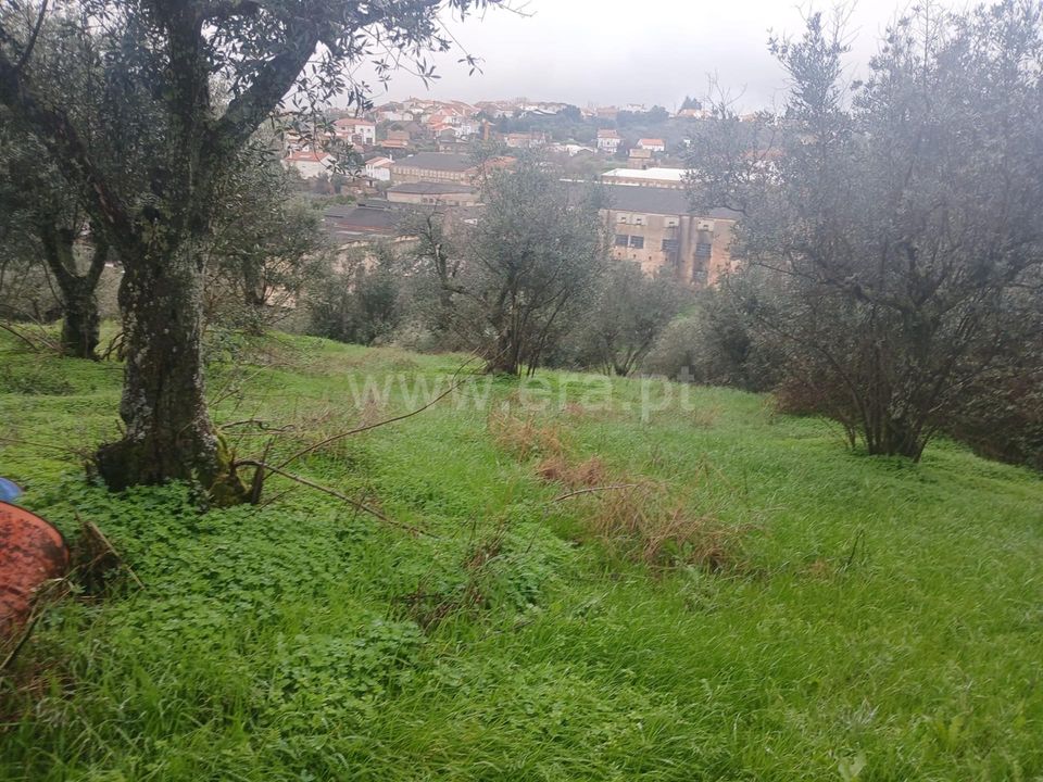 Landejendom i Castelo Branco, Castelo Branco - foto 2