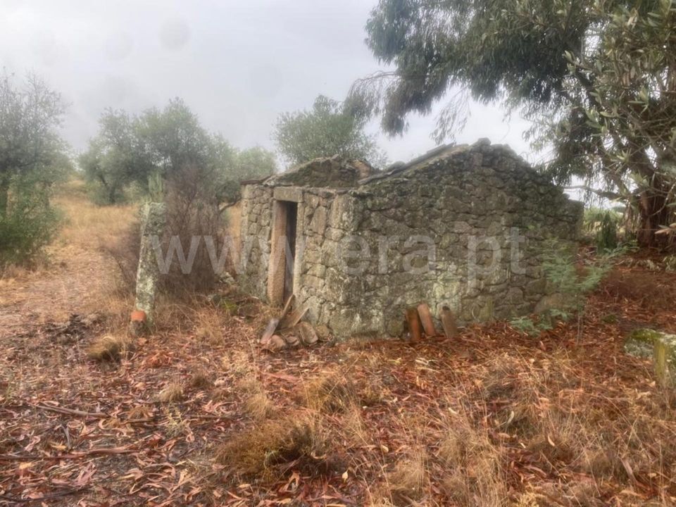 Landejendom i Castelo Branco, Castelo Branco - foto 3