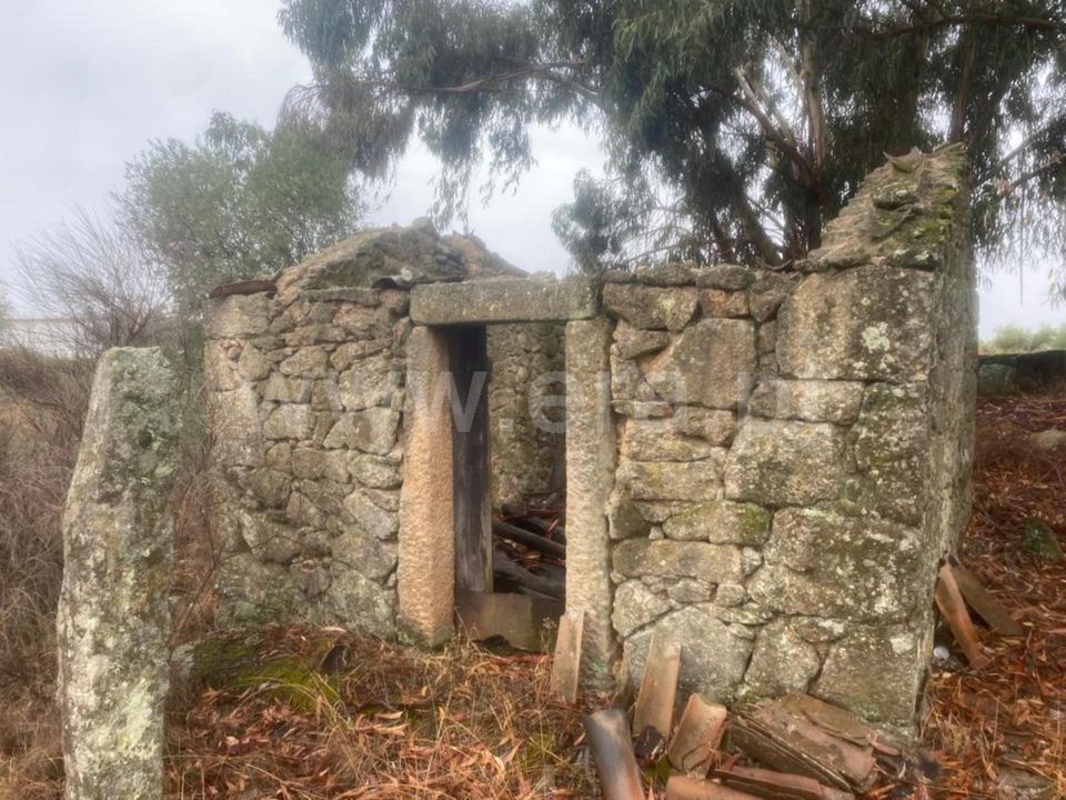 Landejendom i Castelo Branco, Castelo Branco - foto 4