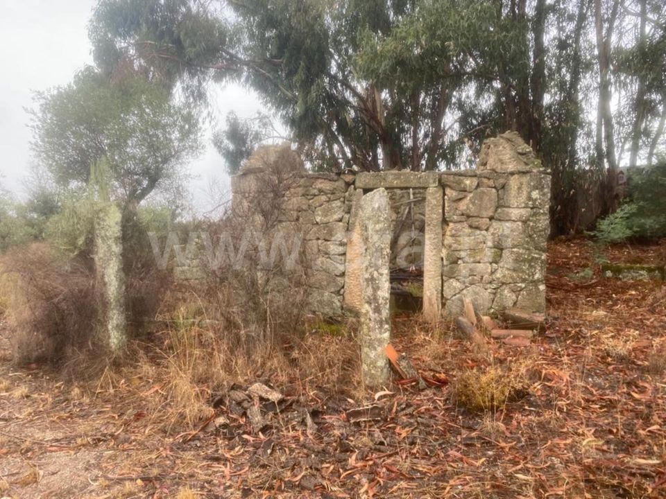 Landejendom i Castelo Branco, Castelo Branco - foto 5