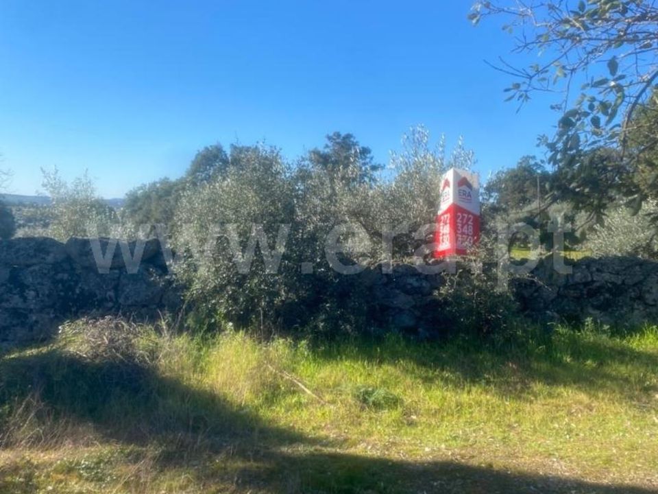 Helårsgrund i Castelo Branco, Castelo Branco - foto 2