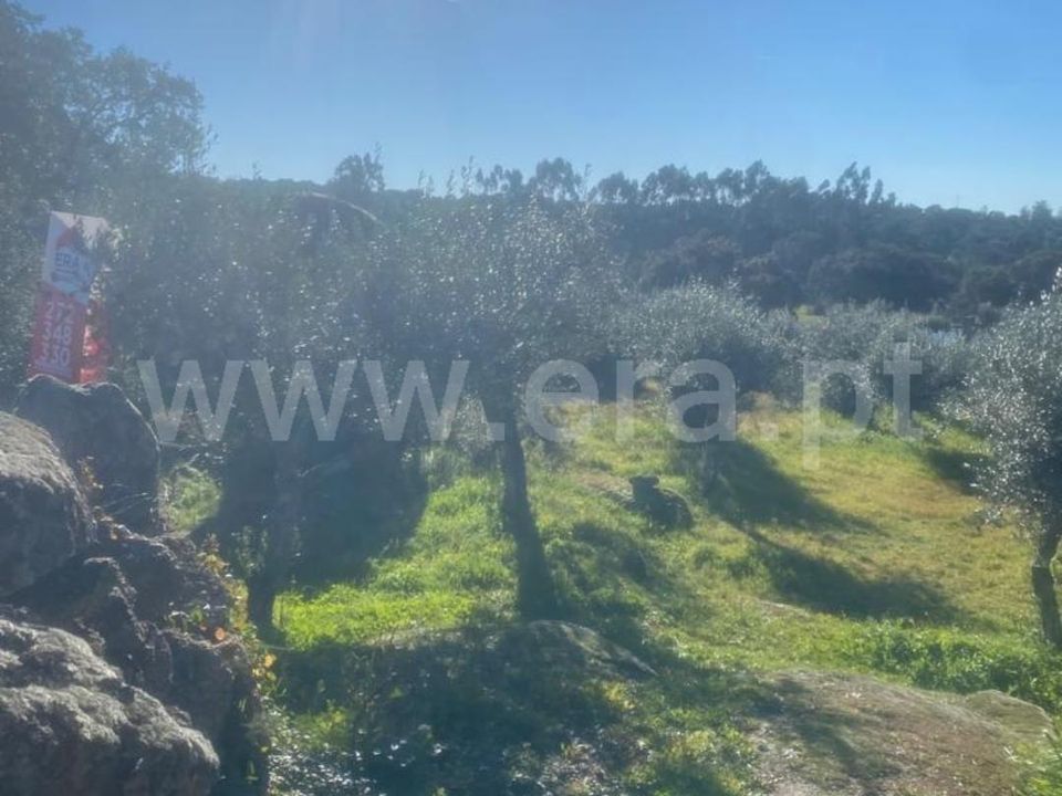 Helårsgrund i Castelo Branco, Castelo Branco - foto 4