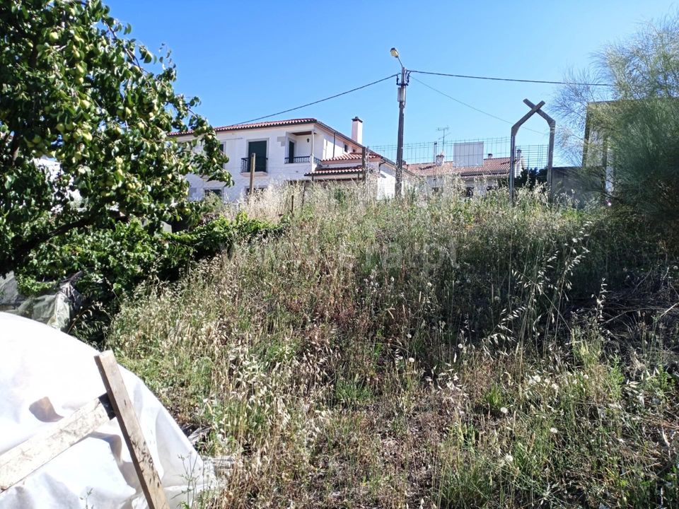 Helårsgrund i Castelo Branco, Castelo Branco - foto 2