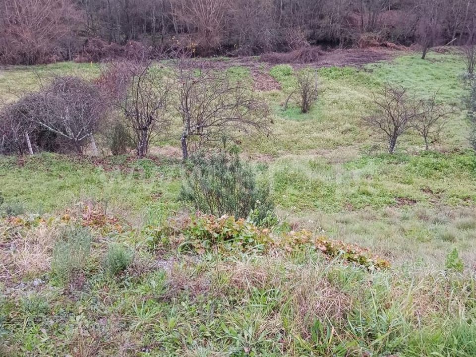 Landejendom i Castelo Branco, Castelo Branco - foto 2