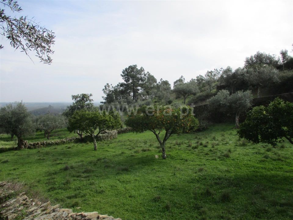 Landejendom i Castelo Branco, Castelo Branco - foto 4