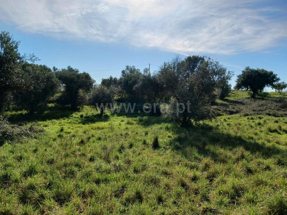 Landejendom i Castelo Branco, Castelo Branco - foto 1