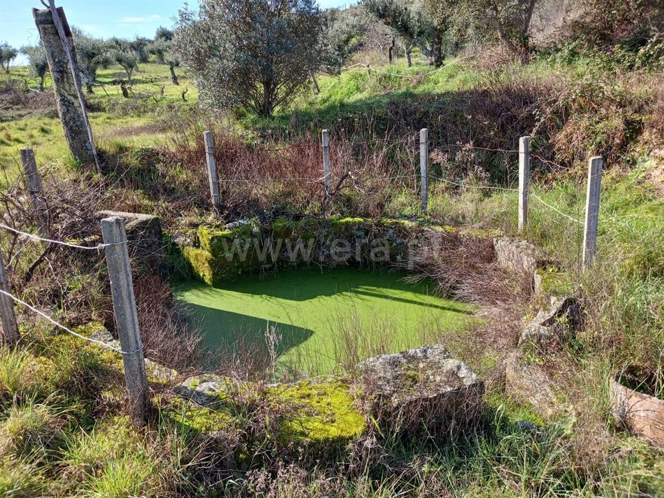Landejendom i Castelo Branco, Castelo Branco - foto 5