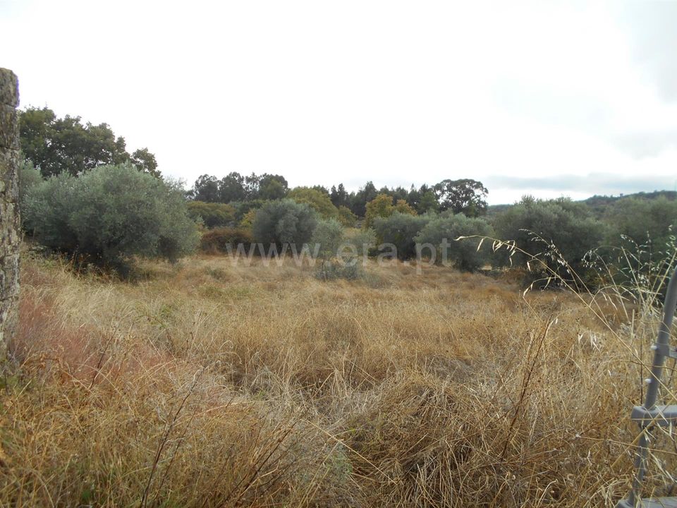Erhvervsejendom i Penamacor, Castelo Branco - foto 2