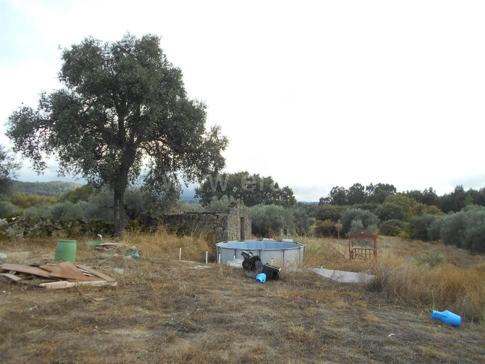 Erhvervsejendom i Penamacor, Castelo Branco - foto 3