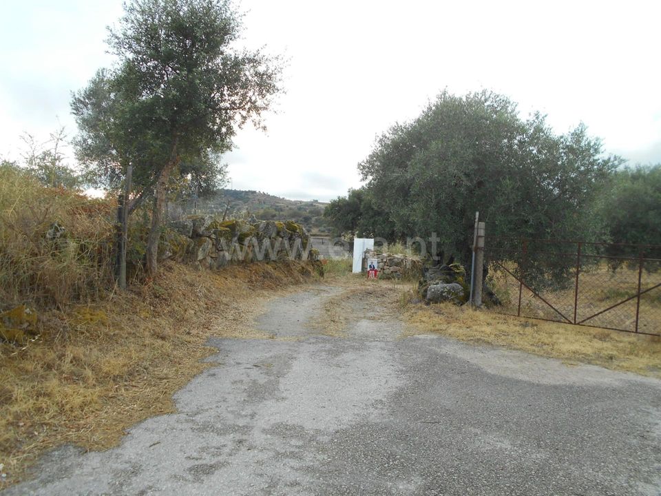 Erhvervsejendom i Penamacor, Castelo Branco - foto 5