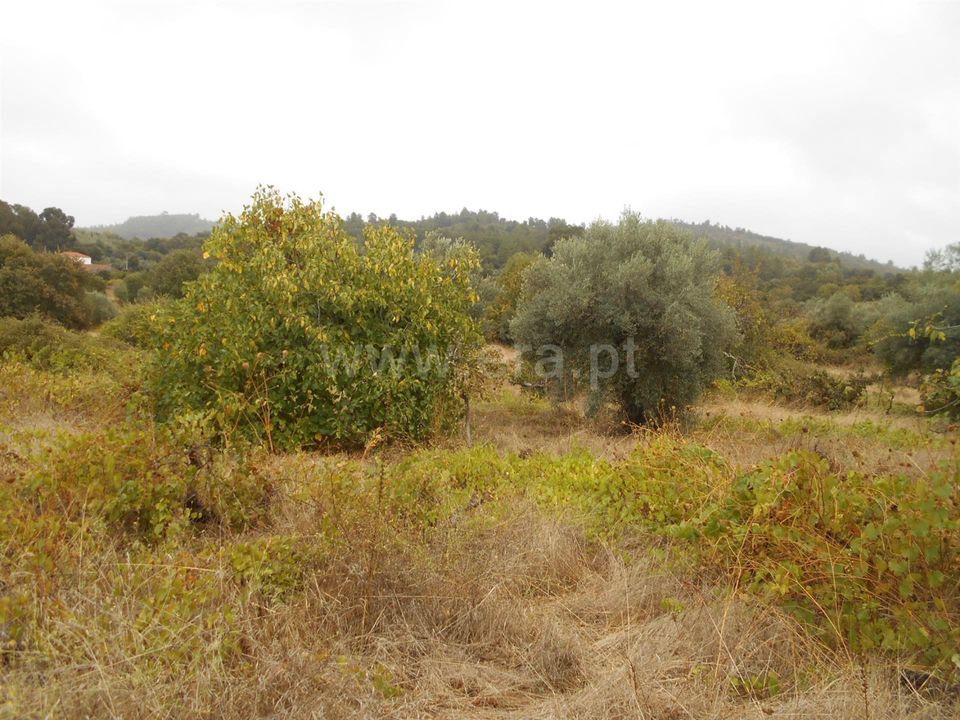 Erhvervsejendom i Penamacor, Castelo Branco - foto 1