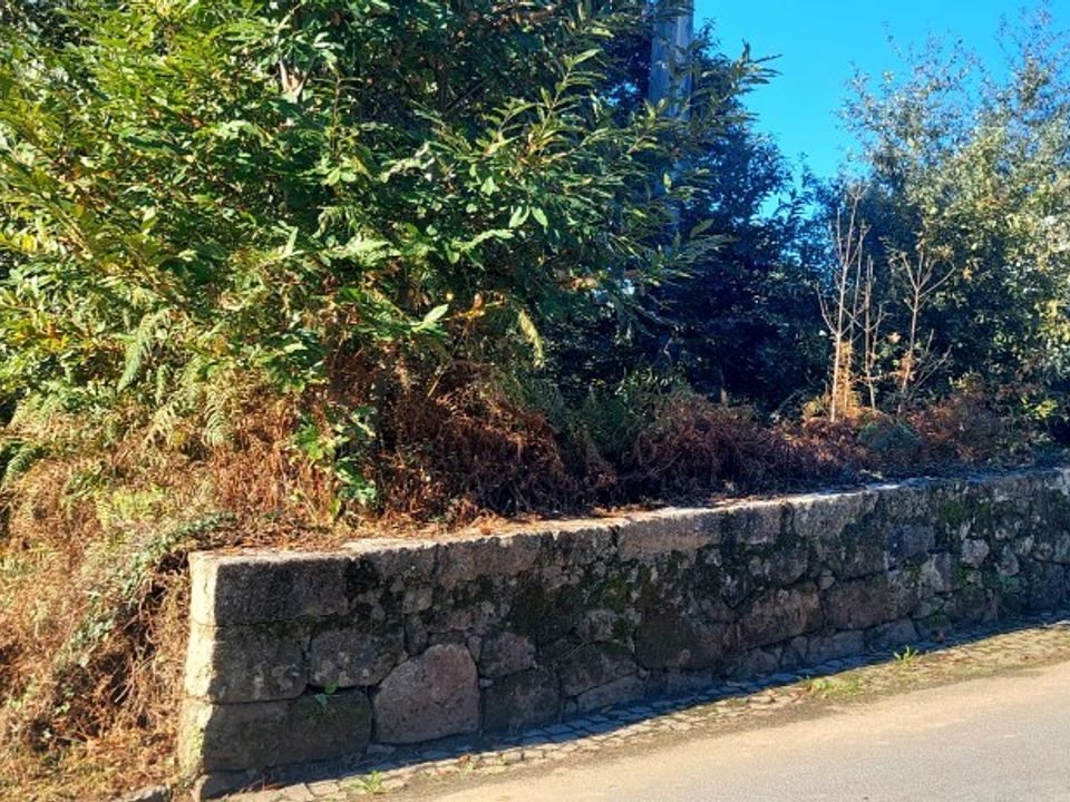 Helårsgrund i Amares, Braga - foto 4