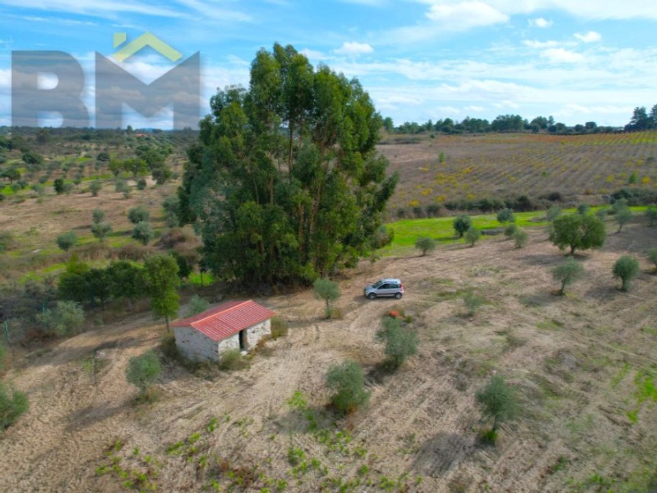 Farm i Idanha-a-Nova, Castelo Branco - foto 1