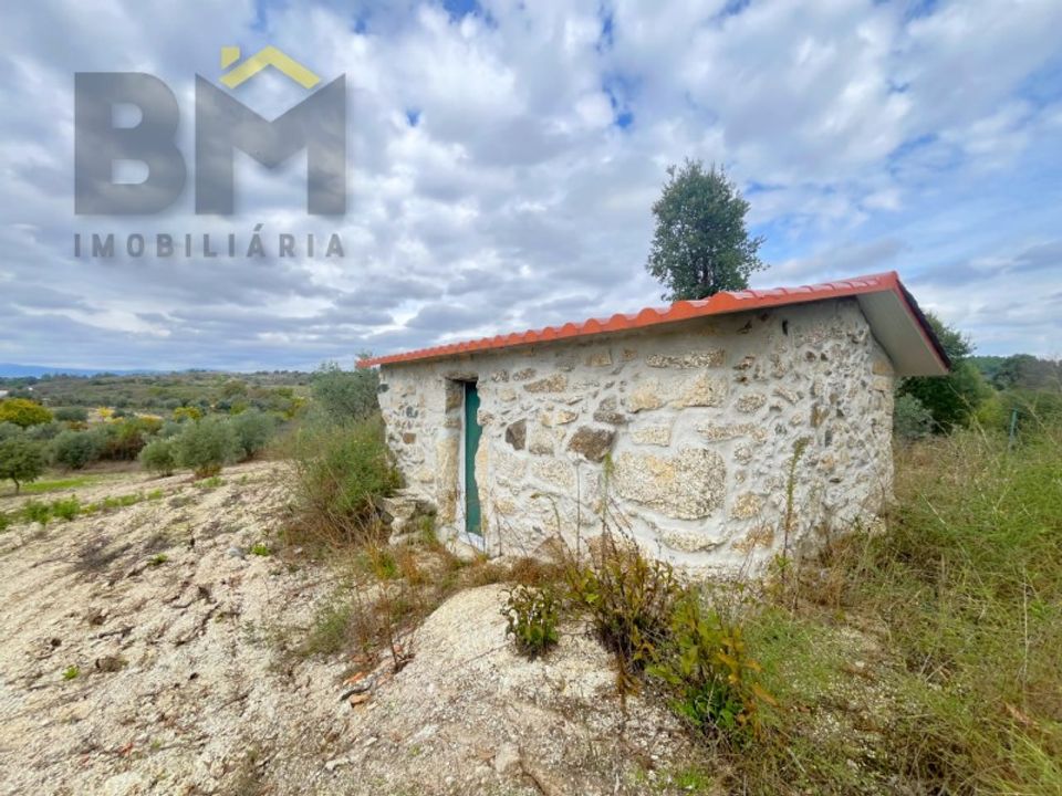Farm i Idanha-a-Nova, Castelo Branco - foto 3