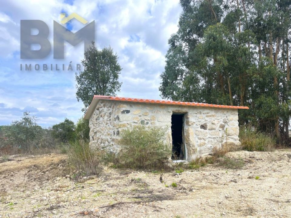 Farm i Idanha-a-Nova, Castelo Branco - foto 4