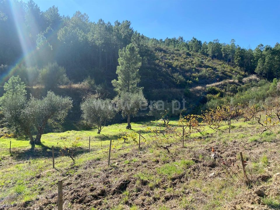 Landejendom i Fundao, Castelo Branco - foto 2