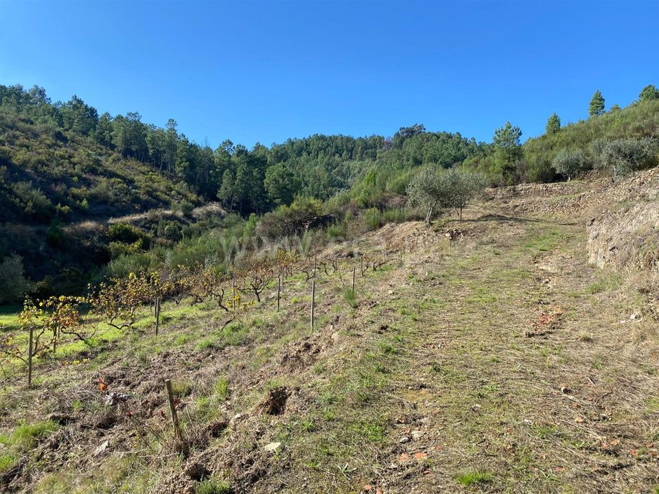 Landejendom i Fundao, Castelo Branco - foto 3