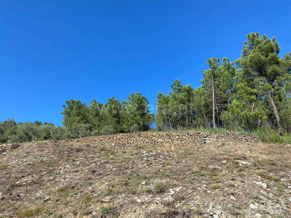 Landejendom i Fundao, Castelo Branco - foto 5