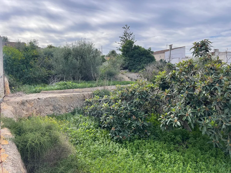 Helårsgrund i Felanitx, Mallorca - foto 4