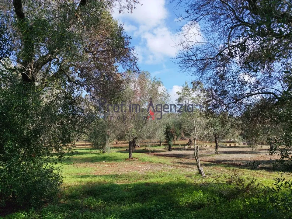 Helårsgrund i San Vito dei Normanni, Brindisi - foto 2
