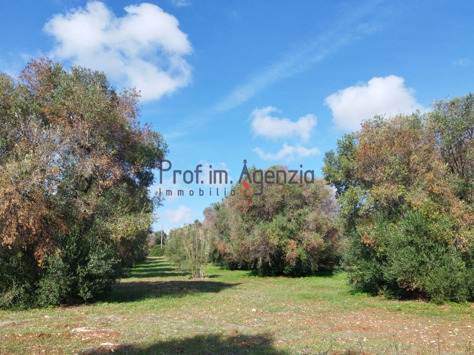 Helårsgrund i San Vito dei Normanni, Brindisi - foto 4