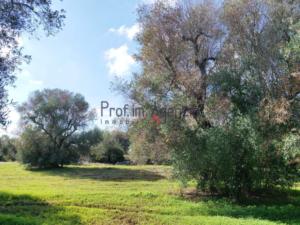 Helårsgrund i San Vito dei Normanni, Brindisi - foto 3