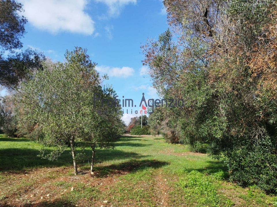 Helårsgrund i San Vito dei Normanni, Brindisi - foto 5