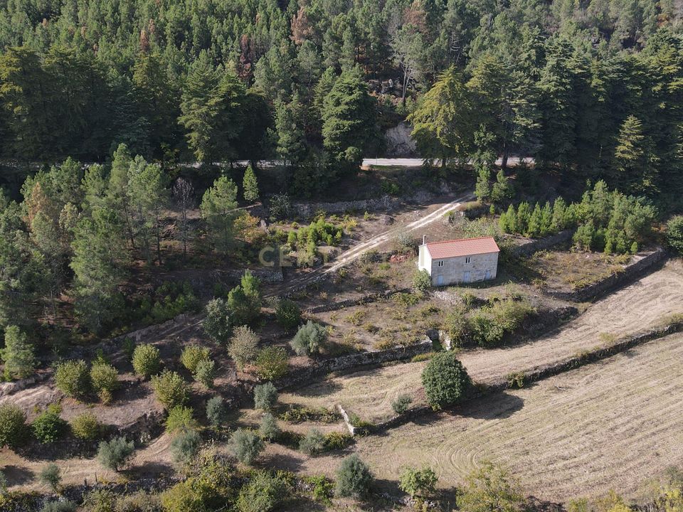 Farm hus i Torre de Moncorvo, Braganca - foto 2