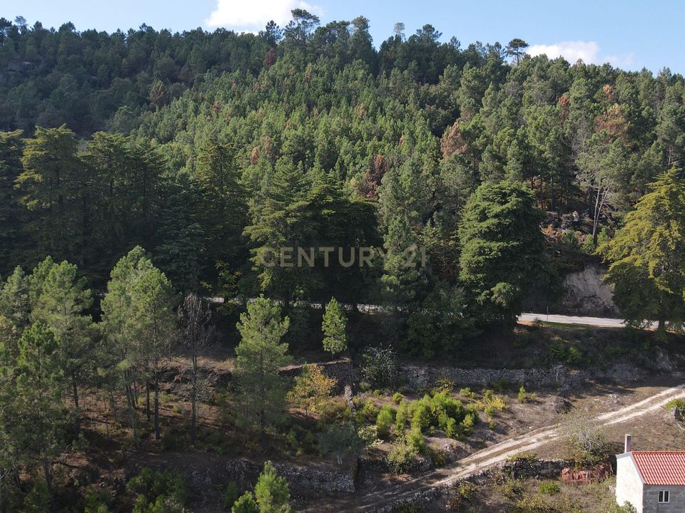 Farm hus i Torre de Moncorvo, Braganca - foto 5