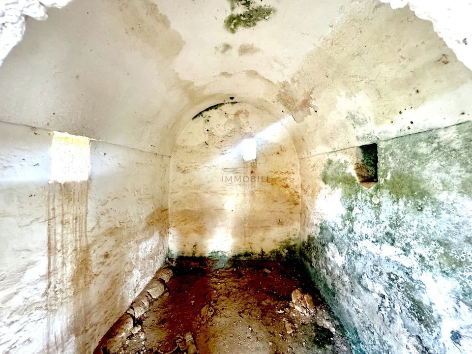 Helårsgrund i San Vito dei Normanni, Brindisi - foto 4