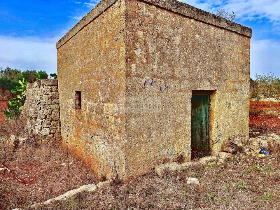 Helårsgrund i San Vito dei Normanni, Brindisi - foto 1