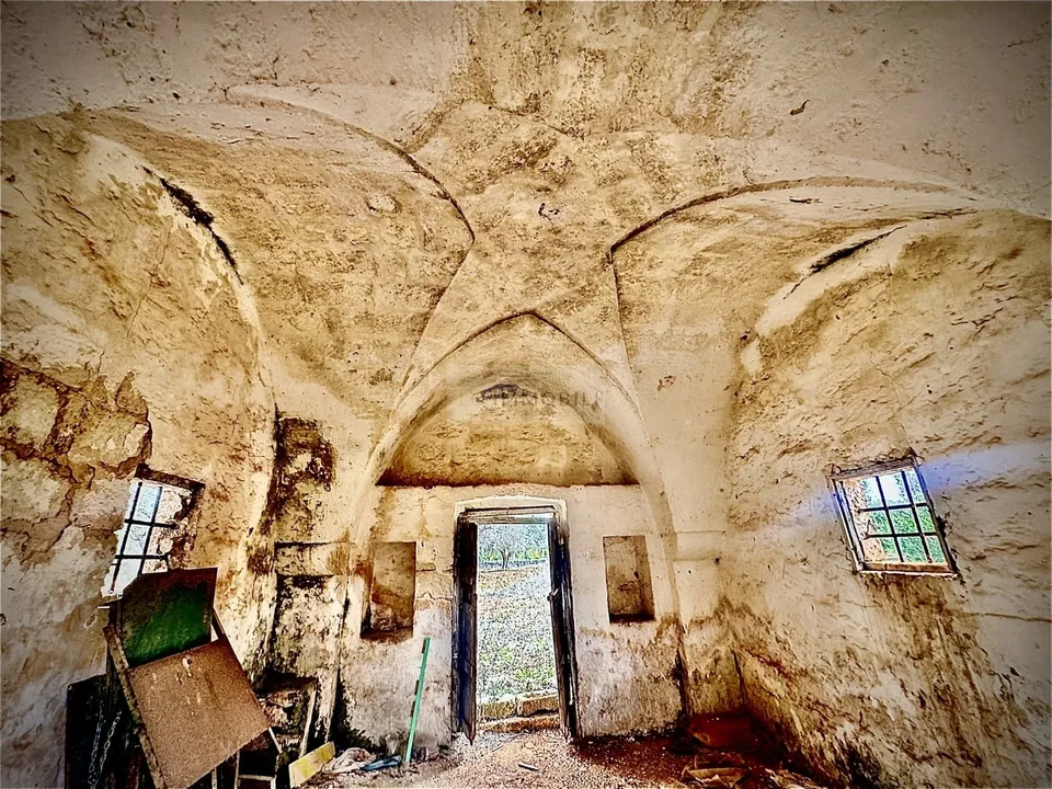 Helårsgrund i San Vito dei Normanni, Brindisi - foto 3