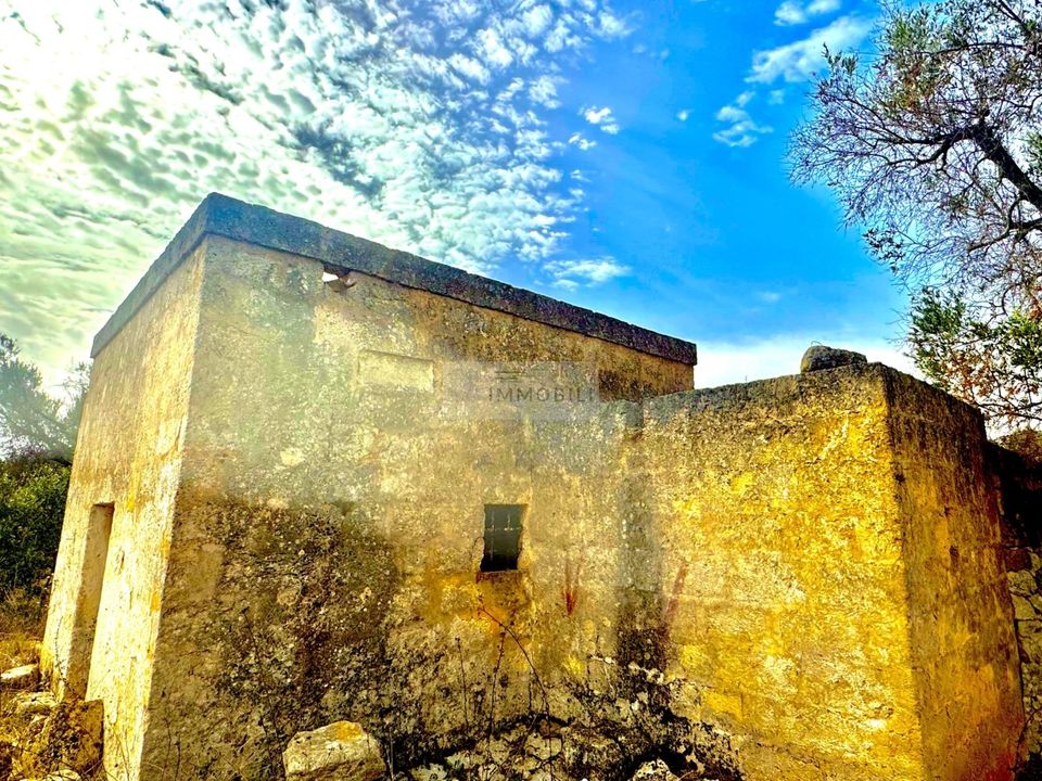 Helårsgrund i San Vito dei Normanni, Brindisi - foto 2