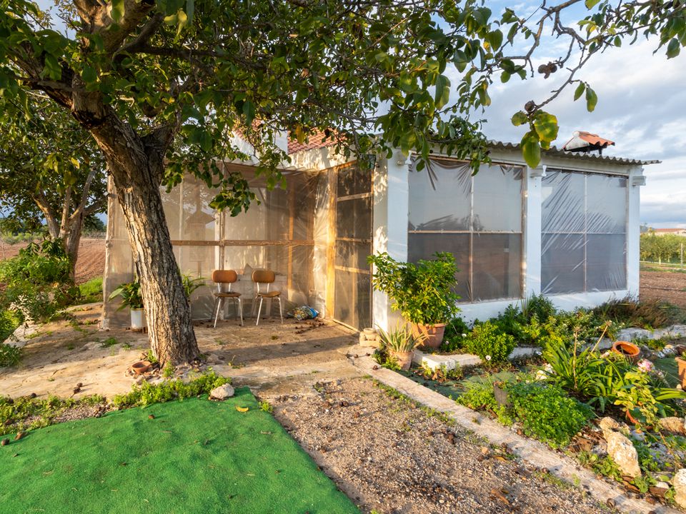 Finca i Santa Barbara, Tarragona - foto 1