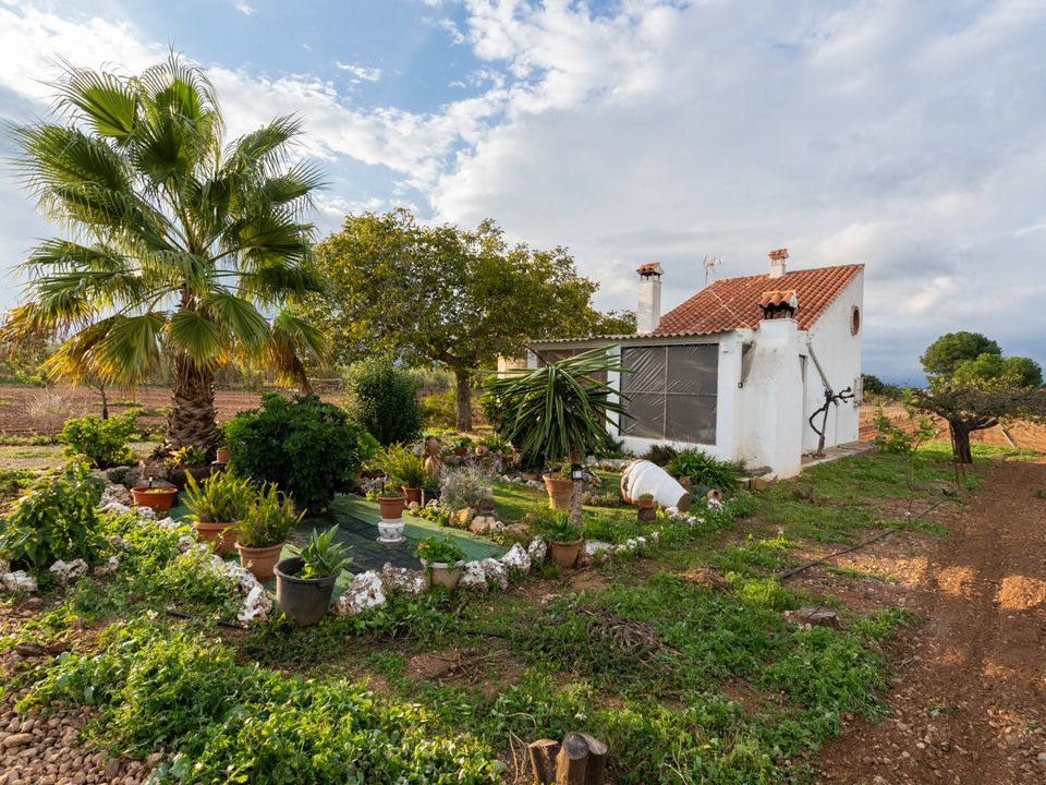 Finca i Santa Barbara, Tarragona - foto 4