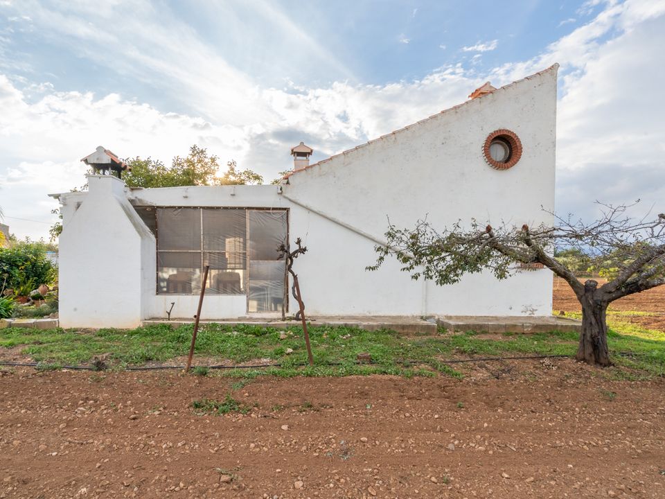 Finca i Santa Barbara, Tarragona - foto 3